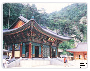 십자소